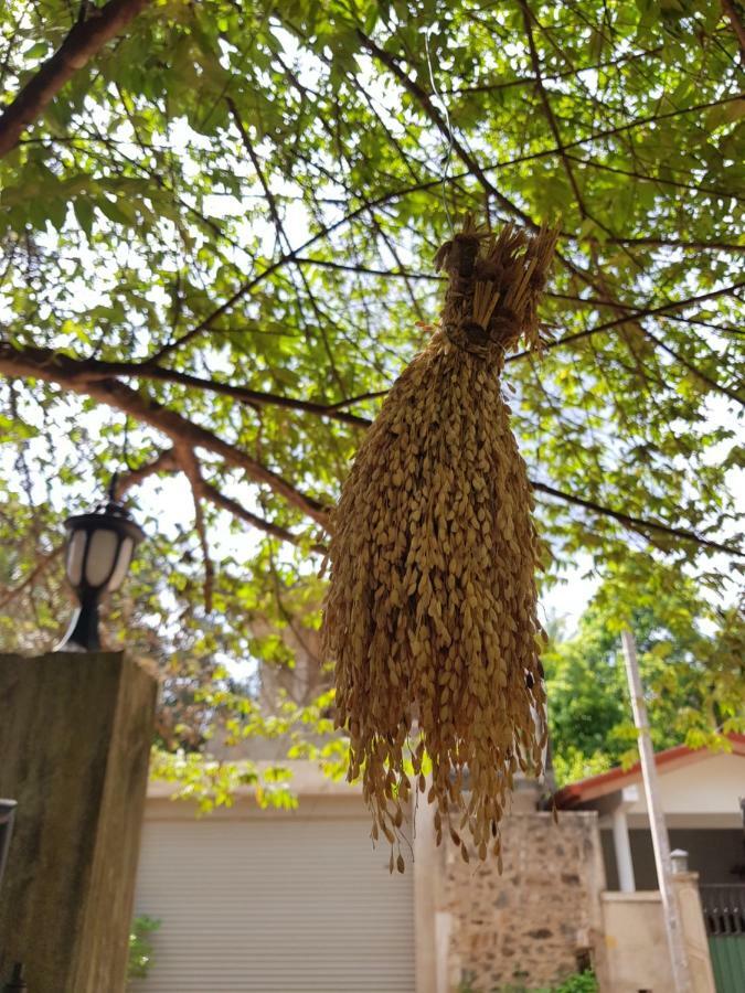 אנוראדפורה Nimal'S Home מראה חיצוני תמונה
